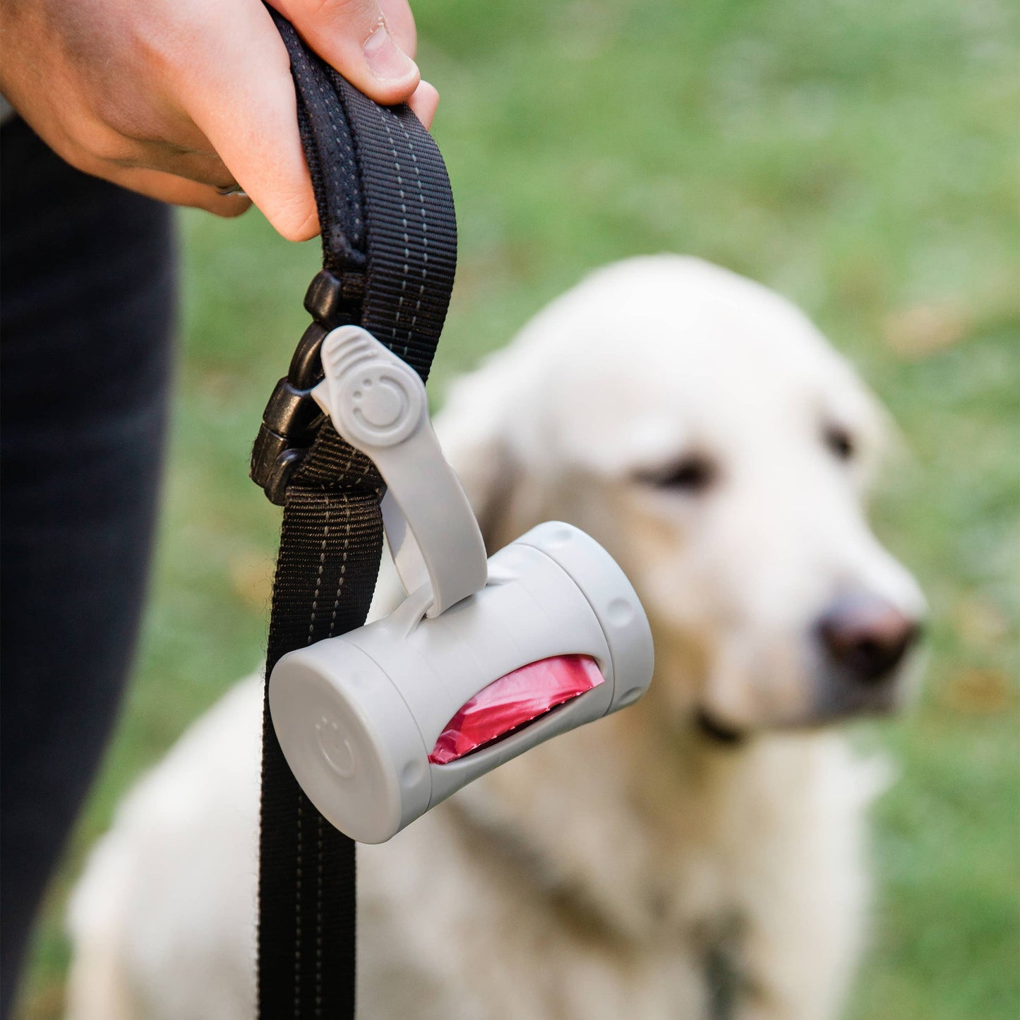 Retractable Pet Waste Bag Dispenser, Gray