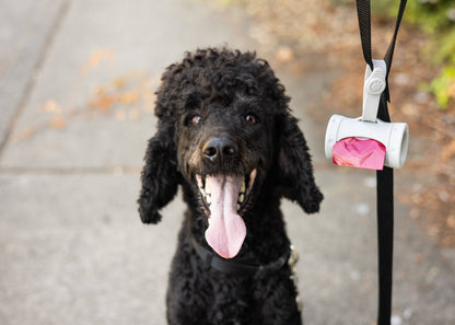 Retractable Pet Waste Bag Dispenser, Gray