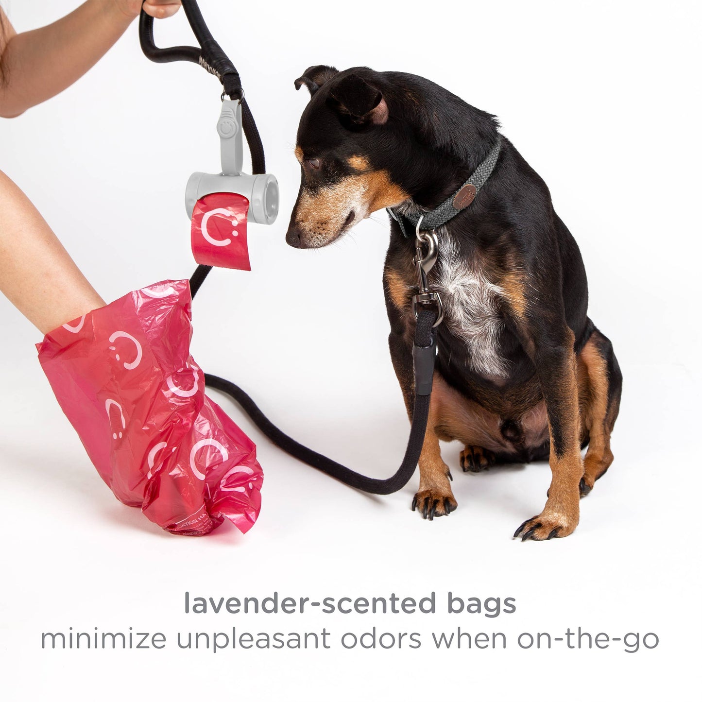 Retractable Pet Waste Bag Dispenser, Gray